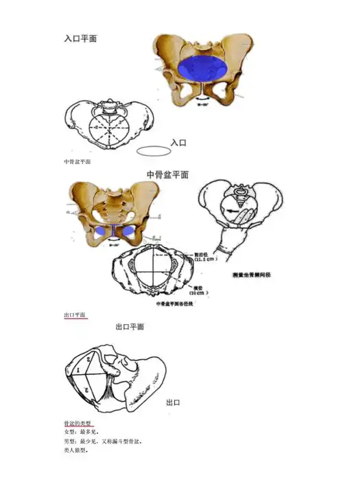 中西医结合执业医师《妇科学》冲刺课程串讲讲义_讲义教材.pdf