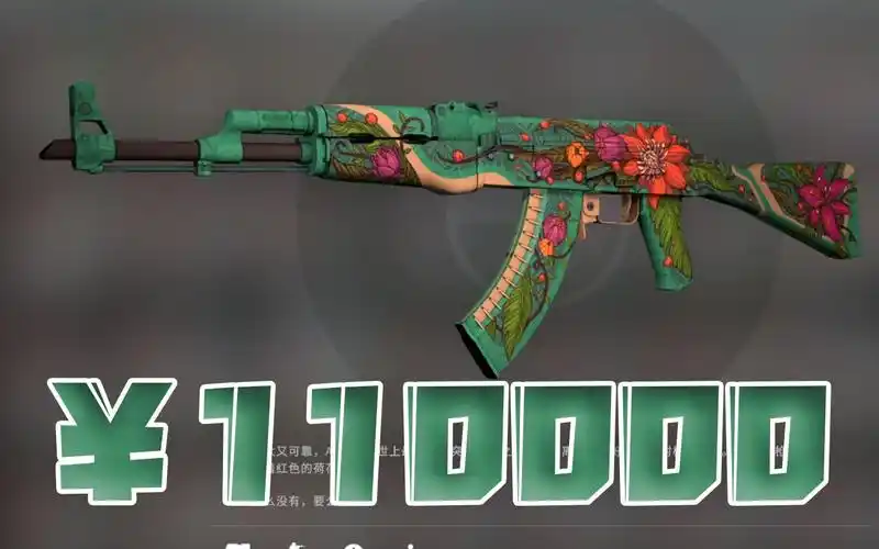 110000元挑战野荷_csgo