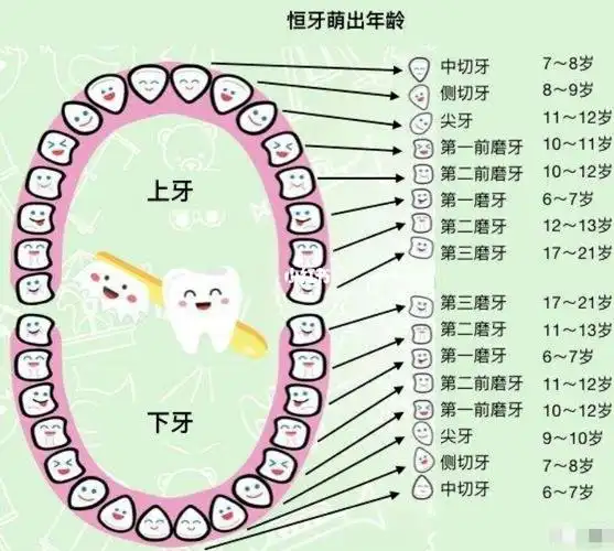 乳牙滞留常常会导致恒牙无法萌出或者从其他不该出现的地方长出来