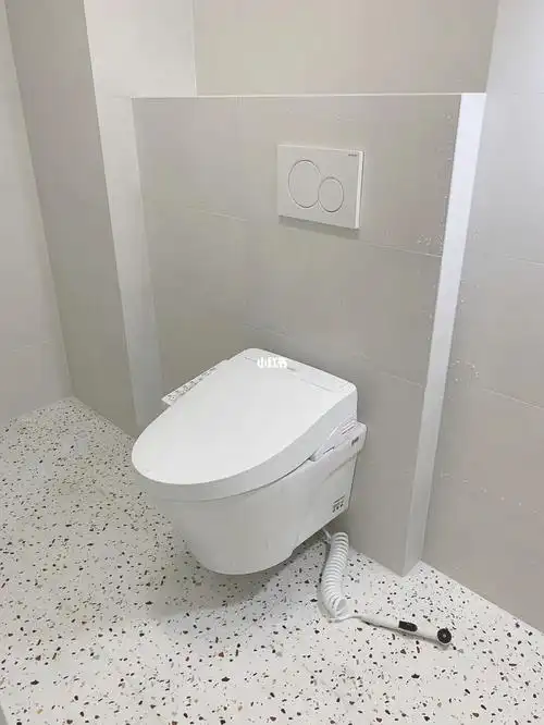 很一般)从图6丑丑的侧排和卫生间的大高地台成功改成无地台壁挂马桶