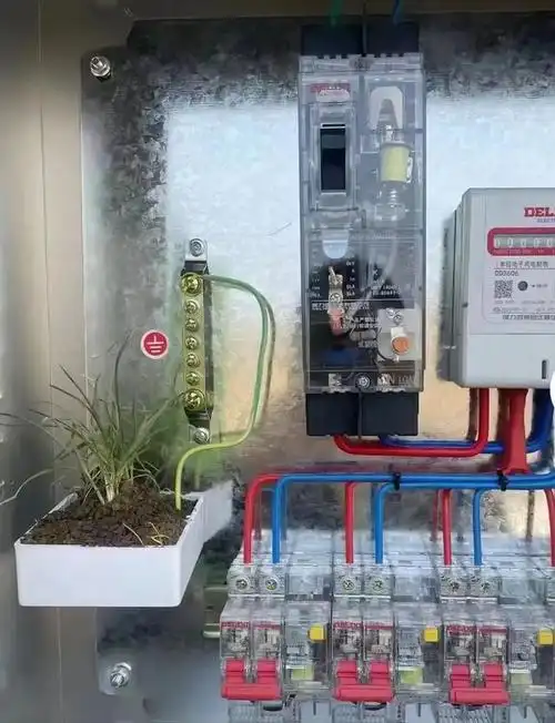 大家看看这配电箱的接地对吗?