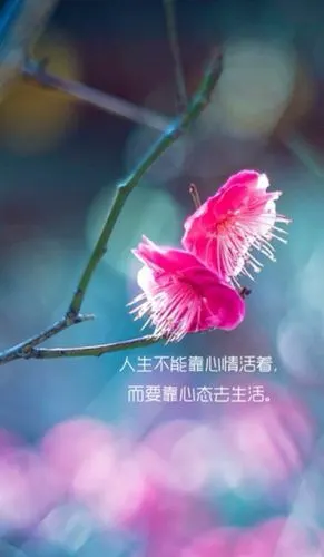 we should live by mentality rather than mood.人生不能靠心情活着.