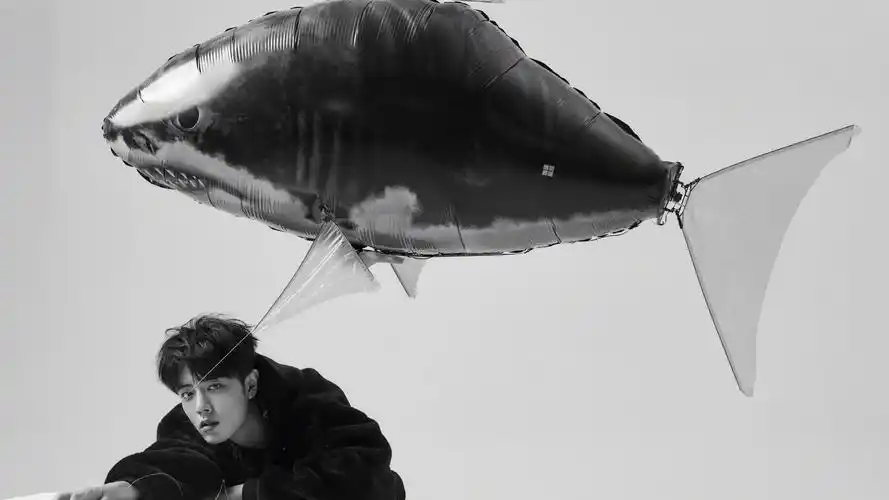 回车桌面>电脑壁纸>明星>大陆明星>帅气小鲜肉肖战>相关标签帅气小