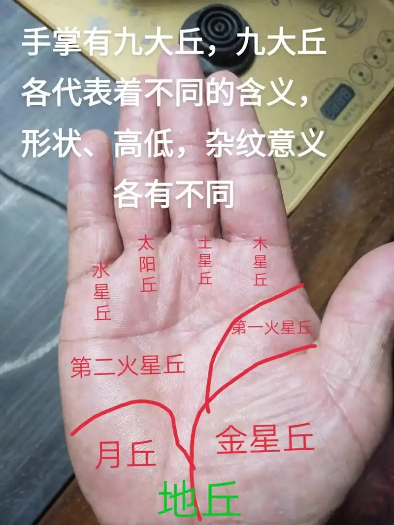 金星丘:代表精神与动力,亲情,夫妻的爱情与友情;木星丘:代表 - 抖音