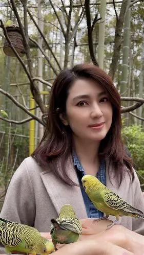 50岁洪欣近照曝光妆容精致气质好脸部发福圆了一圈