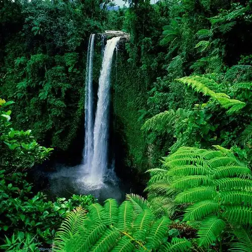 绿色自然 清新淡雅 文艺 简约 风景