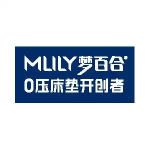 梦百合家居科技股份有限公司 点赞 1