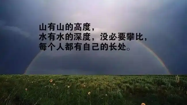 朋友圈最新感悟人生哲理句子语录经典透彻