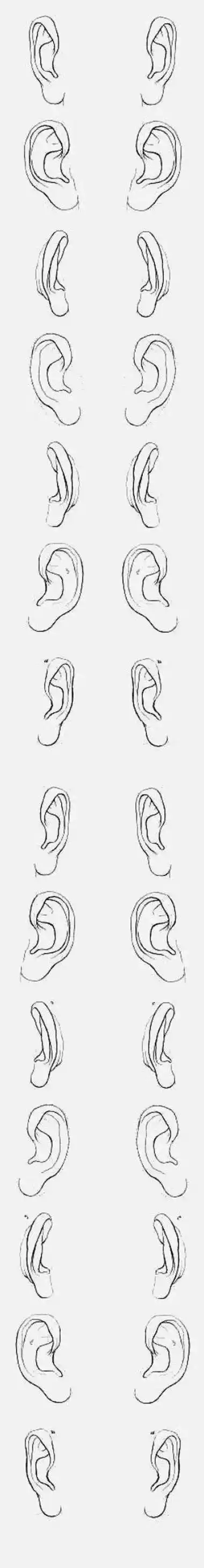 耳朵速写简笔画儿童器官耳朵简笔画大耳朵简笔画蜀山战纪赵丽颖玉无心