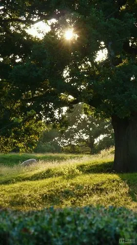 【竖屏壁纸】1080*1920全高清风光壁纸 - 资源共享 - 一加手机社区