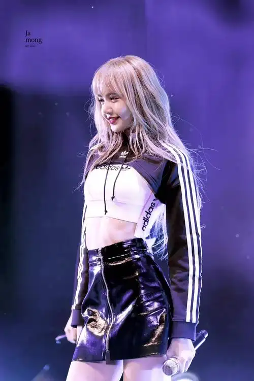 lisa/ blackpink