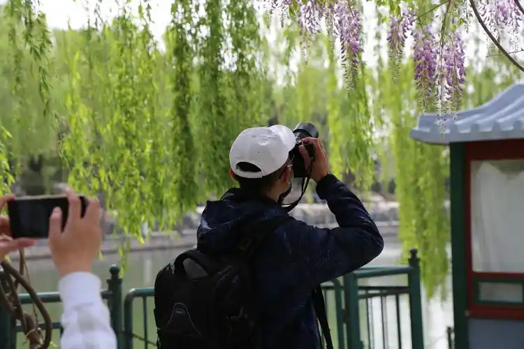 行摄春天的摄影人