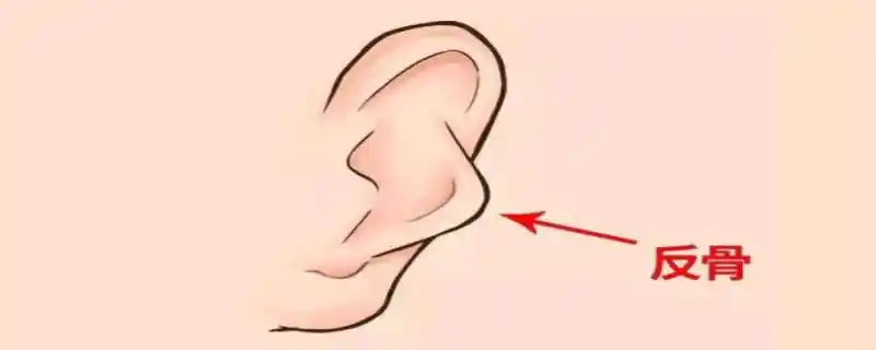 反骨是什么意思反骨耳的人怎么样