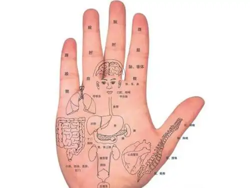 微博 04 查看更多 a 微关系 他的关注(267) 丸子安利菌 心愿先生