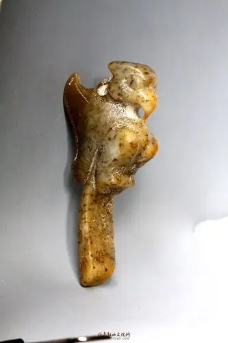 泛红山玉枭 祝师友五一节快乐!