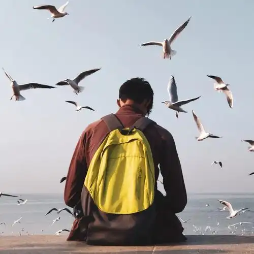 背影杀大叔型想把我的快乐分享给你们!整理不易,感谢大家支持!