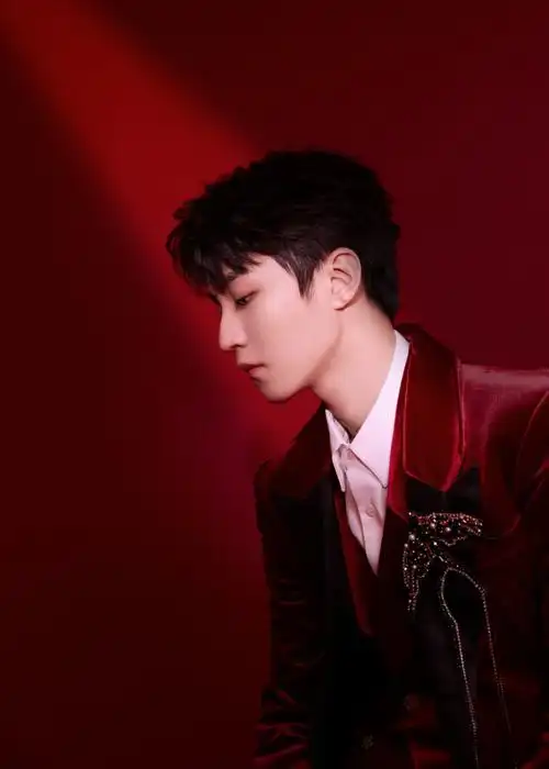 王俊凯春晚舞台