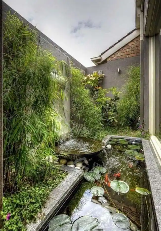 超美的农村庭院鱼池设计图片这些注意事项一定要做好