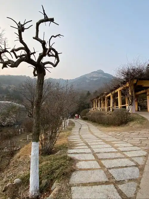 青岛石老人观光园