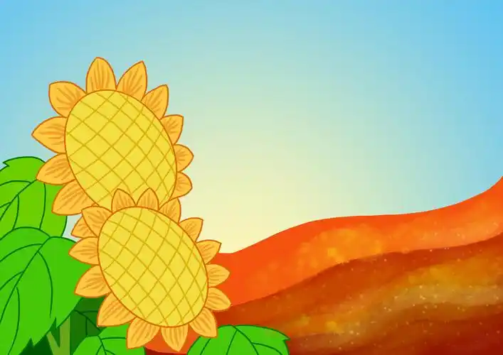 插画:向日葵