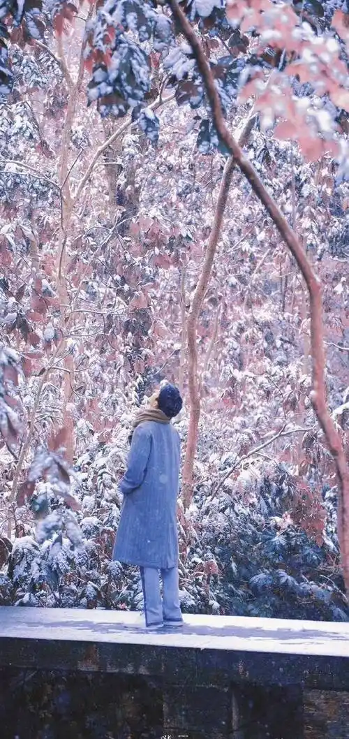 肖战竹林深处演绎时尚写真大片,少年自在如风,眼有星辰大海_围巾_最好