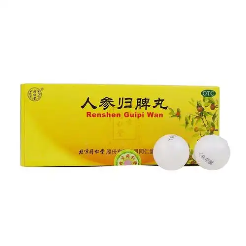 同仁堂 人参归脾丸 9g*10丸