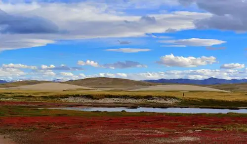 阿里无人区-草原湿地