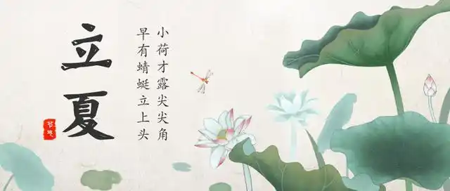 立夏原创诗词小荷才露尖尖角早有蜻蜓立上头
