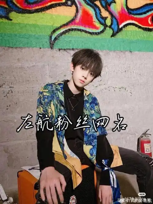 左航粉丝网名