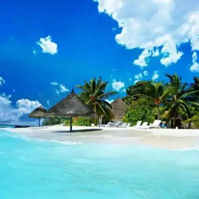 清新好看绿色系很优质的风景头像简单大方的有气质风景头像最新