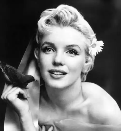 求玛丽莲梦露和奥黛丽赫本 1600x1200的高清黑白壁纸.越多越好 3q