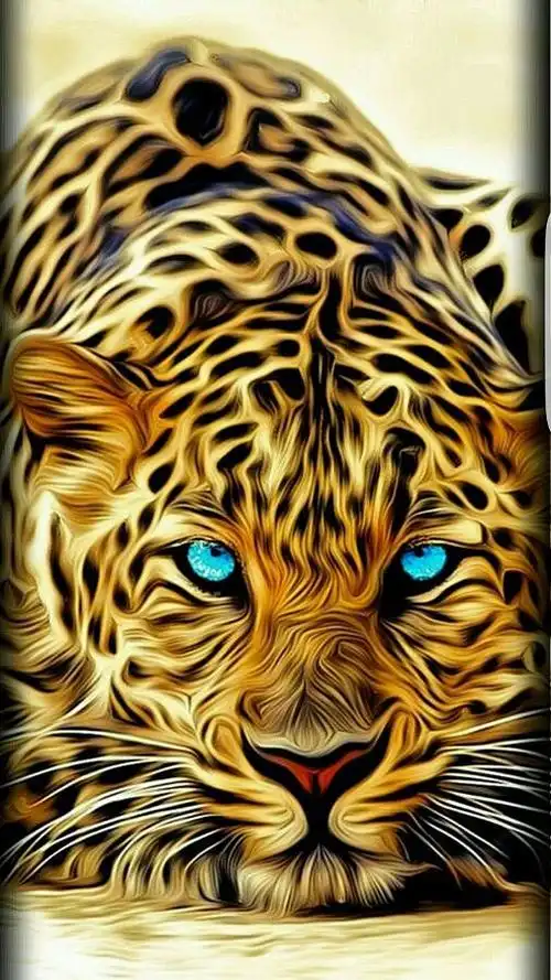 曲面屏手机壁纸