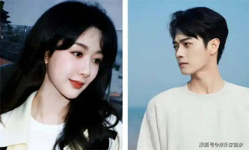 原著小说是亦舒多少岁写的?_许凯_电视剧_杨紫