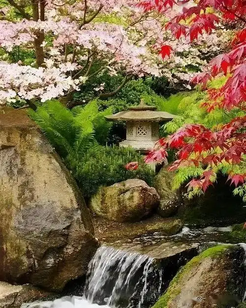 景观知识庭院水景五大类型