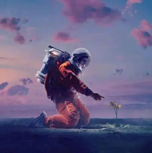 微信头像抖音最火