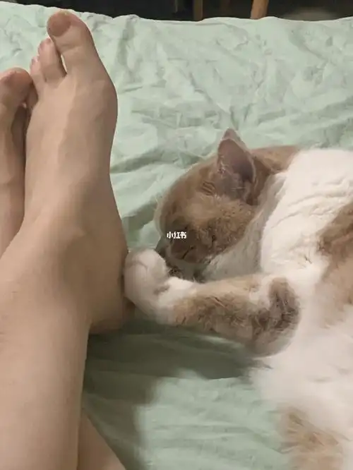 为啥要拄着麻麻脚丫子睡觉