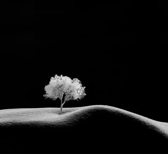 67黑白极简摄影静谧的孤独世界