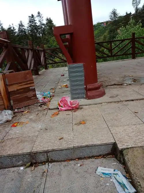 写美篇所以我们要做到以下几点         1.不乱扔垃圾.          2.