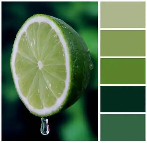 复古高级的墨绿色,清新的牛油果绿,鲜艳的草绿色,稳重成熟的橄榄绿