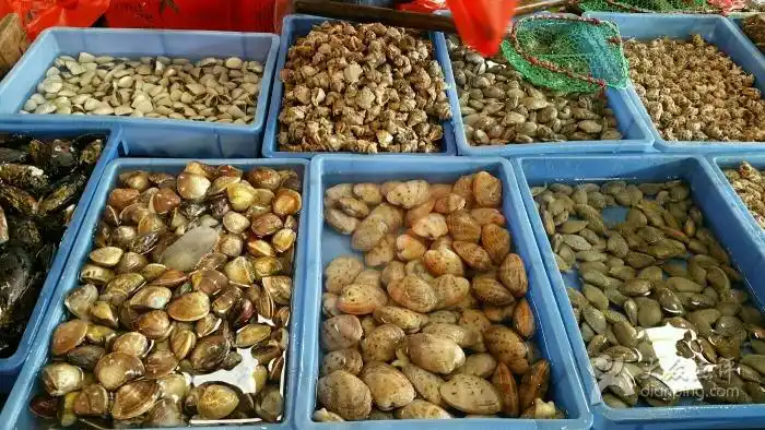 福永海鲜市场图片 - 第1张