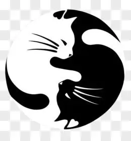 白猫图片素材_免费白猫png设计图片大全_图精灵