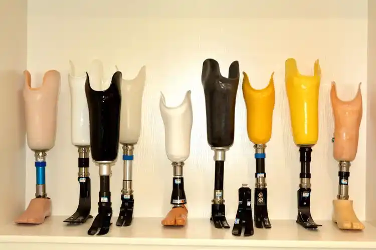 公司假肢样品