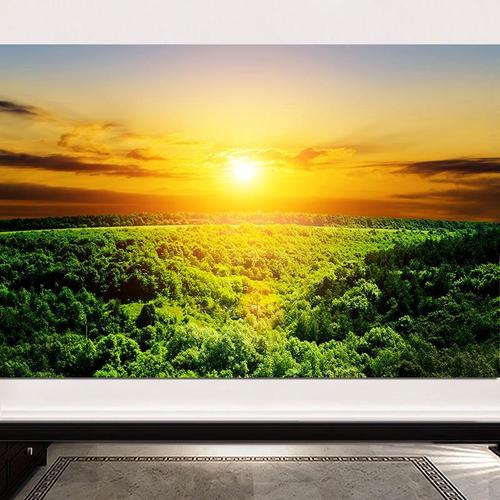 火烧云晚霞日落美景夕阳下的森林树林绿色太阳日出靠山有山无水画