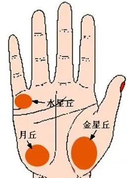 六,水星丘饱满突起水星丘位于小指的根部,假如女人的水星丘生得饱满