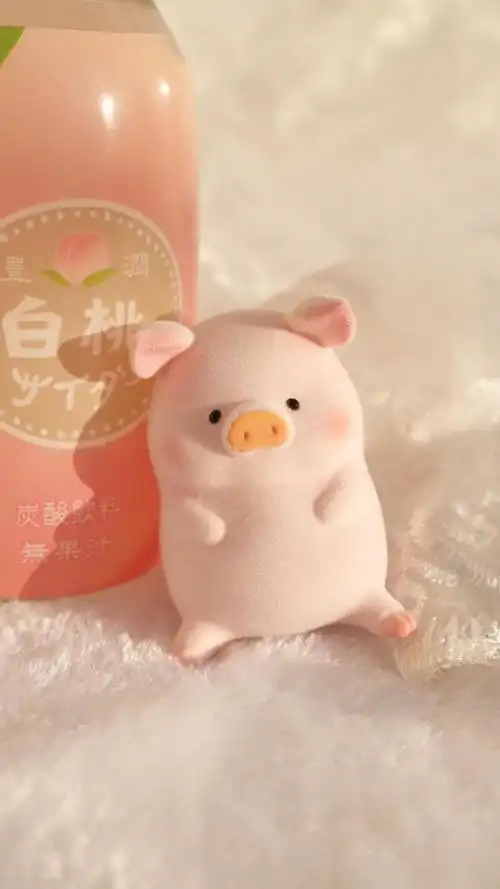 可爱调皮的小猪静物背景图