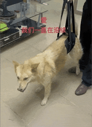 狗子进厂打工年薪3万,却因没素质被扣大半,进"黑厂"了?