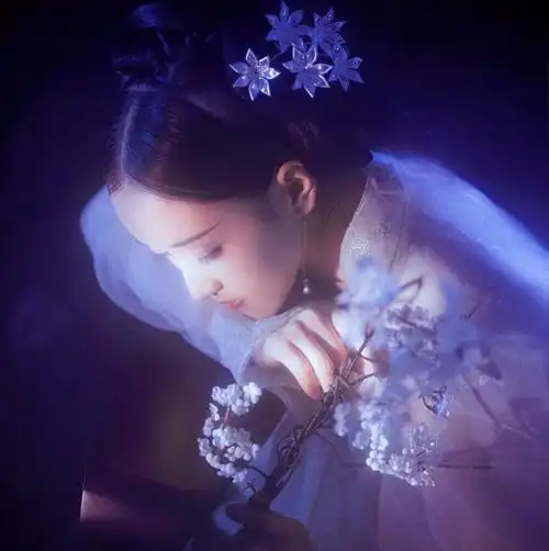 关注   野洵 古风女 花舞花落泪 花哭花瓣飞 古风女 多人闺蜜 唯美