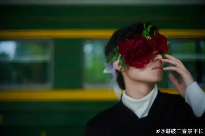 胡先煦张子枫红毯上撒玫瑰##胡先煦红毯撒花