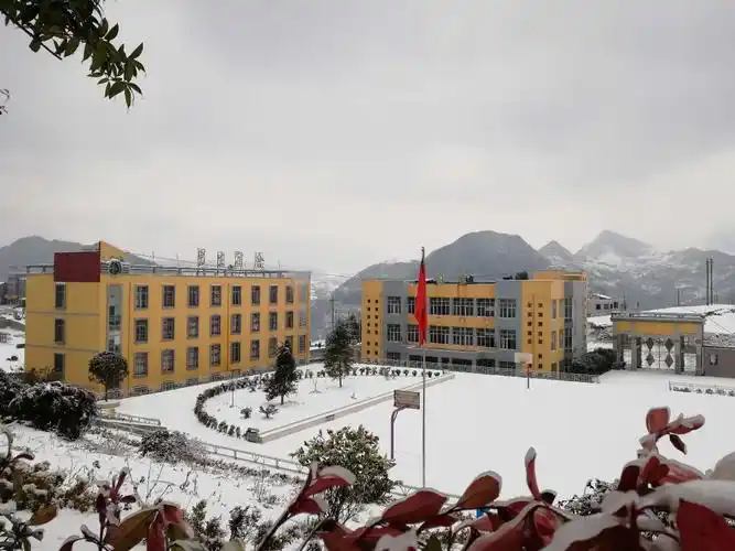 镇雄县林口初级中学2019年七年级招生简章