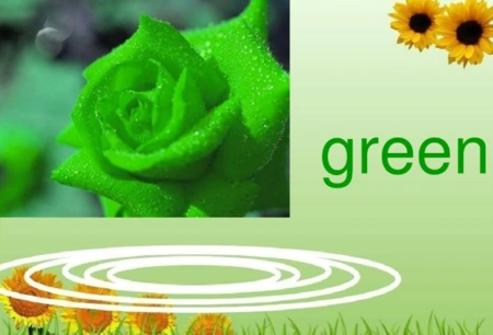 绿色的英文单词怎么写?